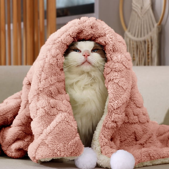 BOPORO Double-Sided Wool Blanket for Small Medium Dogs, Soft Warm Pet Sherpa Throw Pee Proof Couch Cover, Reversible Cat Puppy Bed Blanket Sofa Protector, Plush Washable Pad