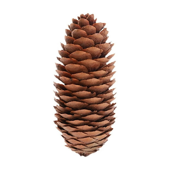 BOPORO Pine Cones Decorations, Natural Pine Cones Bulk Package, Large Medium Mini Size Rustic Pine Cone Ornaments for Table Christmas Tree Crafts Gifts Halloween Thanksgiving Home Decor