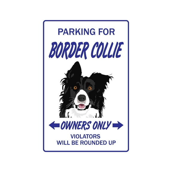 BORDER COLLIE Aluminum Sign dog dogs groomer breeder pet animal | Indoor/Outdoor | 10" Tall