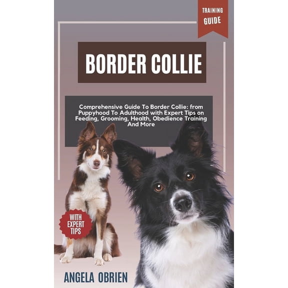 BORDER COLLIE Training Guide: Comprehensive Guide To Border Collie Care: From Puppyhood To Adulthood with Expert Tips on, (Paperback)
