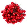 thumbnail image 1 of BORDSTRACT 100 Pcs Artificial Holly Berries For Christmas Wreath Decorations Wreath Making Tree Decorations Wreath Wedding Party, 1 of 8