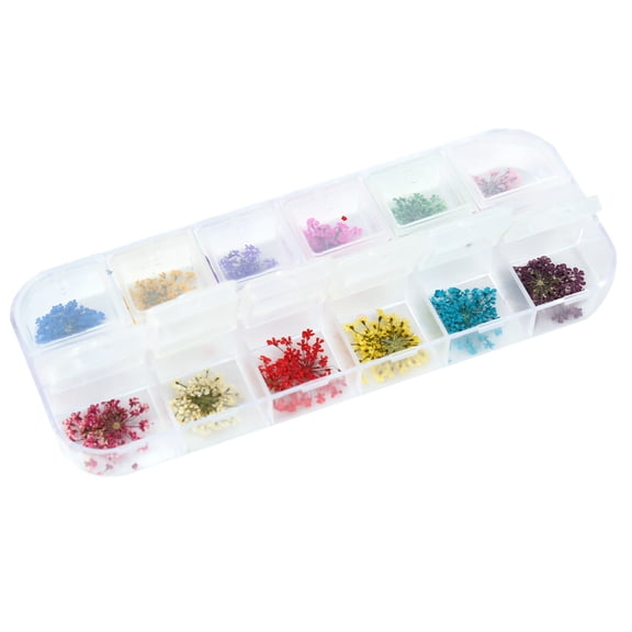 BORDSTRACT 12Colors 3D Flower Nail Decoration Real Dried Flower For Acrylic Nails Nail Art Craft Supplies DIY Decoration Accessories