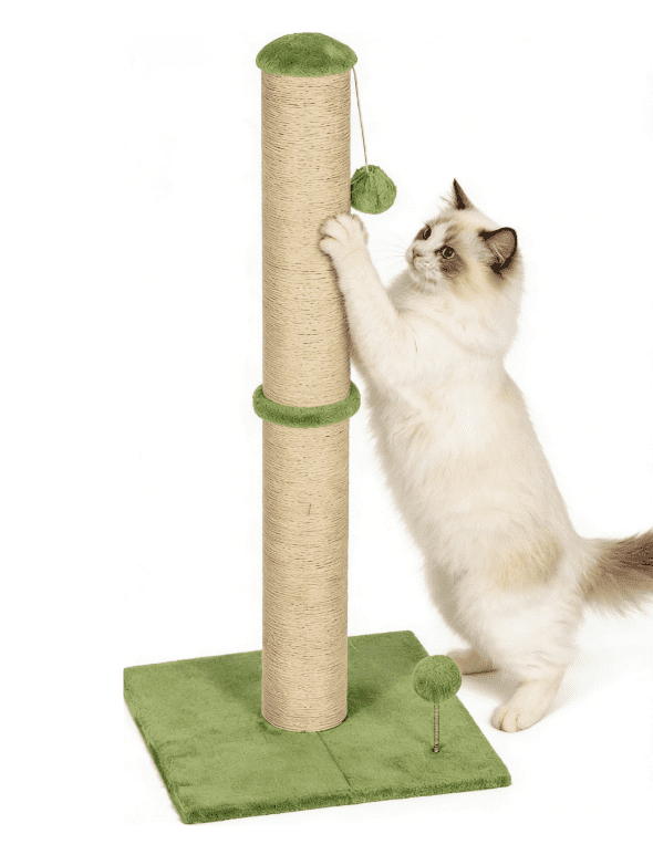 BORGEBY 33 Inch Cat Scratching Post, Natural Sisal Rope Cat Scratcher with Hanging Ball Toy for Indoor Cats and Adults ,Green