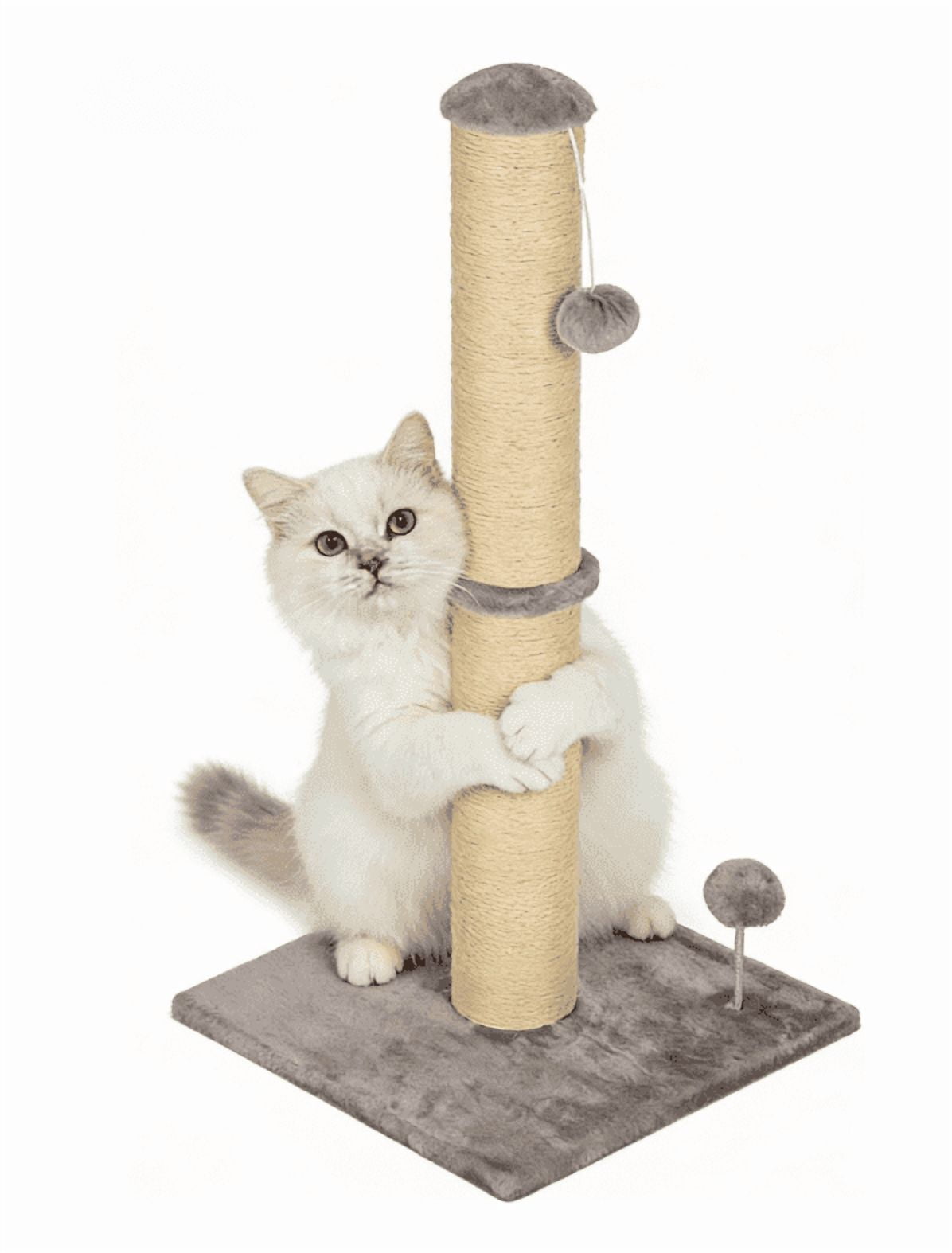 BORGEBY 33 Inch Cat Scratching Post, Natural Sisal Rope Cat Scratcher with Hanging Ball Toy for Indoor Cats and Adults ,Light Gray