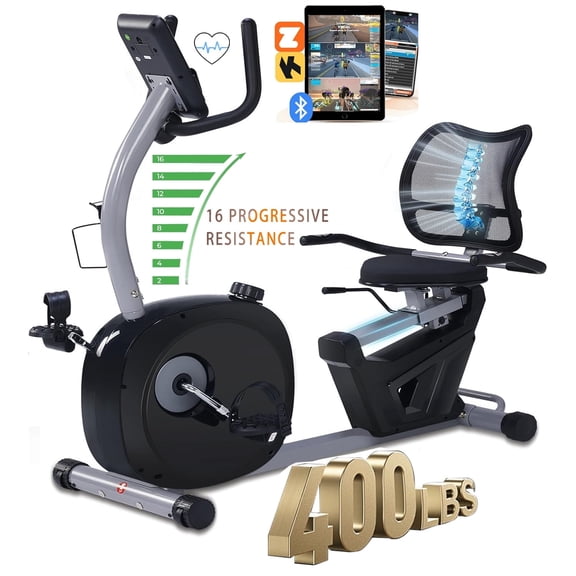 BORGUSI Recumbent Exercise Bike Home Stationary Quiet 16-Level Magnetic Resistance Large Comfortable Seat Heart Rate Monitor iPad Holder 400LBS Capacity for Seniors