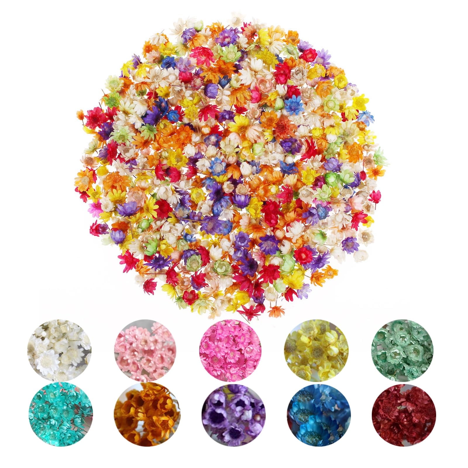 GIRACOA 280Pcs Dried Flowers for Resin Crafts for DIY Jewelry Earrings Epoxy Molds, Candles Making