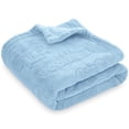 thumbnail image 1 of BORITAR Baby Blanket for Boys Girls Ultra Soft Fleece Warm and Lightweight Animal Blankets for Infant Toddler Newborn, 30x40 Inch, Blue, 1 of 6