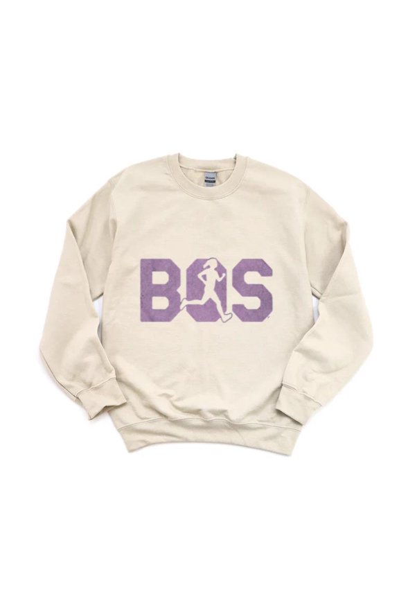 BOS Field View Stadium Scene Boston Game Day Crowd Fan Vibe Park Fenway Garden TD Bank Sweatshirt, for men & women, up to size 5XL