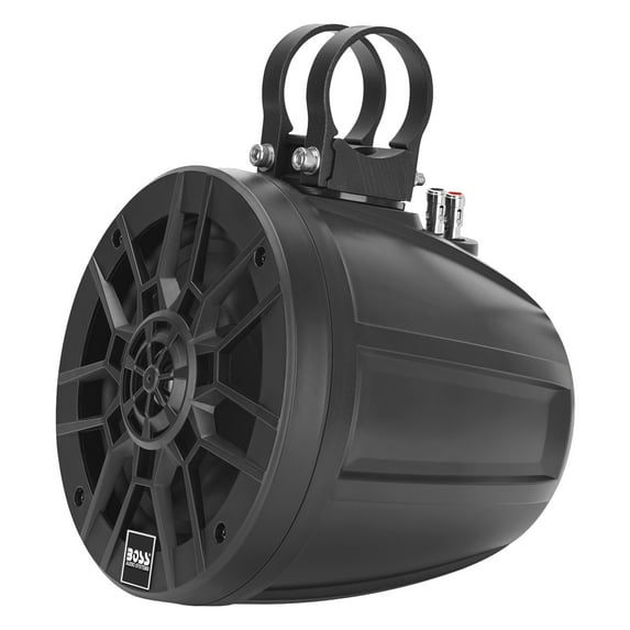 BOSS Audio Systems MPWT60