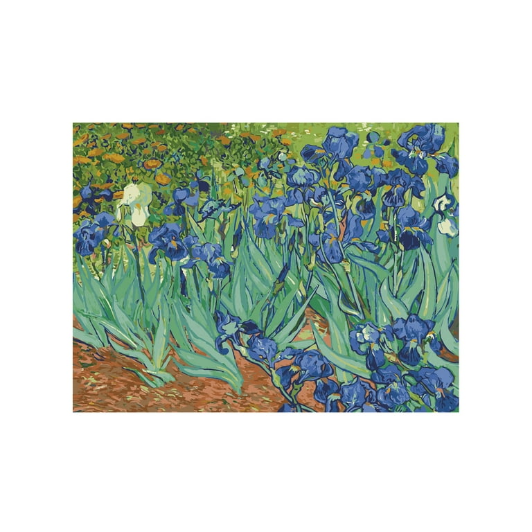 BOUCK Paint By Number Kit for Adults - van Gogh's Irises, Includes 14 