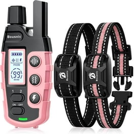 Remote Training Collars for Dogs: Ultimate Guide to Effective Training