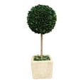 thumbnail image 1 of BOXWOOD WORLD Preserved Boxwood Ball Topiary for House Decor Potted Preserved Mini Boxwood Topiary All Season Green Topiary Decor, 1 of 7