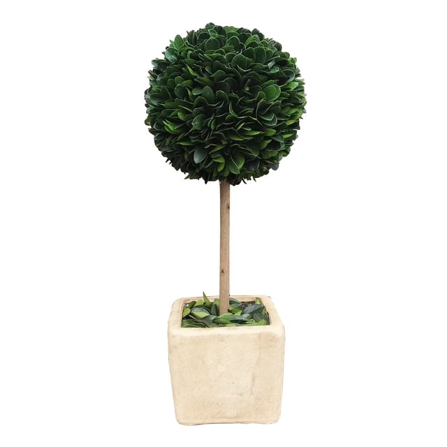 BOXWOOD WORLD Preserved Boxwood Ball Topiary for House Decor Potted ...