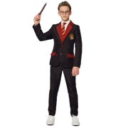 Oppo Merchandise Group Harry Potter Suitmeister Costume | Large Male