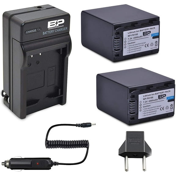 BP 2-Pack Replacement Batteries & Chatger for Sony NP-FH100, FH60, FH70, NP-FH90, TRV, DCR-DVD405 407E 408 410E 450 602E 650E DCR-HC96 DCR-SR85 HDR-HC9 HDR-UX20 HDR-SR12 DCR-SR65E XR500E