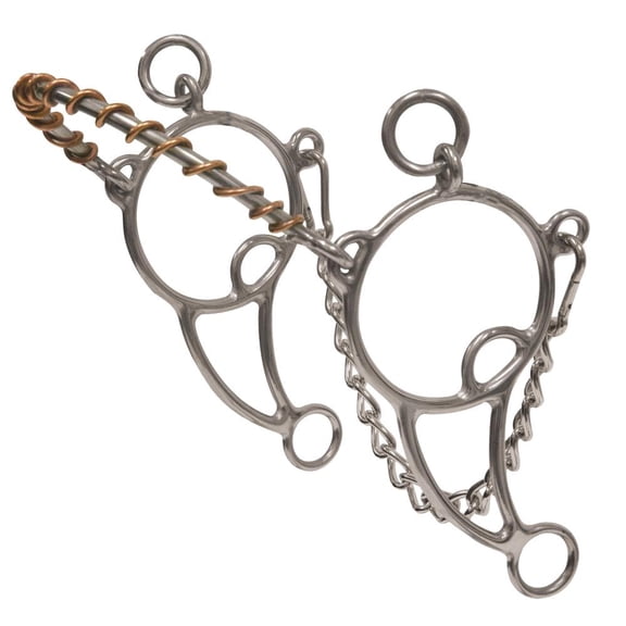 Professionals Choice Bit Combo Series Hackamore 6 Cheek Silver BPB-154