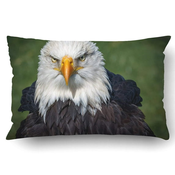 BPBOP Bald Eagle Pillowcase Pillow Cushion Cover 20x30 inch