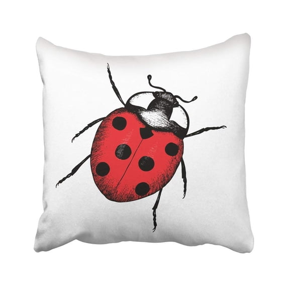 BPBOP Black Ladybird Ladybug Zoological Sketches Of Insect Drawing Colorful Bug Lady Cartoon Pillowcase Throw Pillow Cover Case 18x18 inches