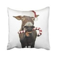 thumbnail image 1 of BPBOP Christmassy Christmas Donkey Santa Donkey Donkey Santa Pillowcase Pillow Cushion Cover 16x16 inches, 1 of 1