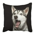thumbnail image 1 of BPBOP Husky Dog opened mouth surprised Pillowcase Throw Pillow Cover Case 20x20 inches, 1 of 2