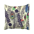 thumbnail image 1 of BPBOP Peacock With Feathers Watercolor Trend Vintage Tropical Animal Bird Drawing Drawn Pillowcase Cover 20x20 inch, 1 of 1