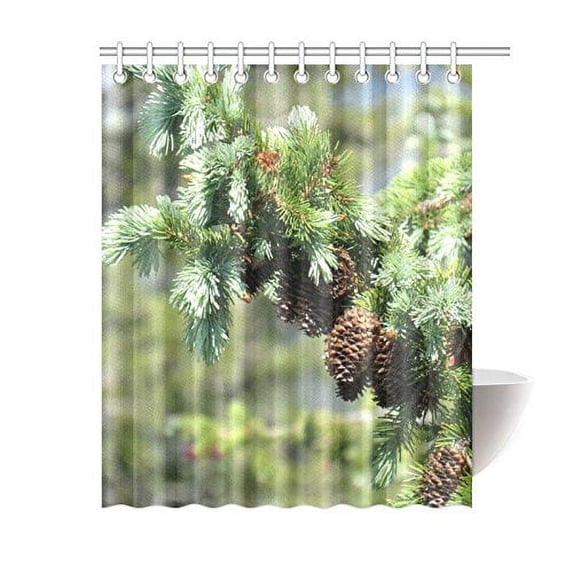 BPBOP Pine Cones Bathroom Waterproof Fabric Shower Curtain 60x72 inches