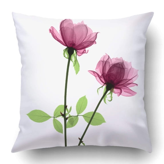 BPBOP Pink Roses X Ray Flowers Pillowcase Pillow Cushion Cover 20x20 inch