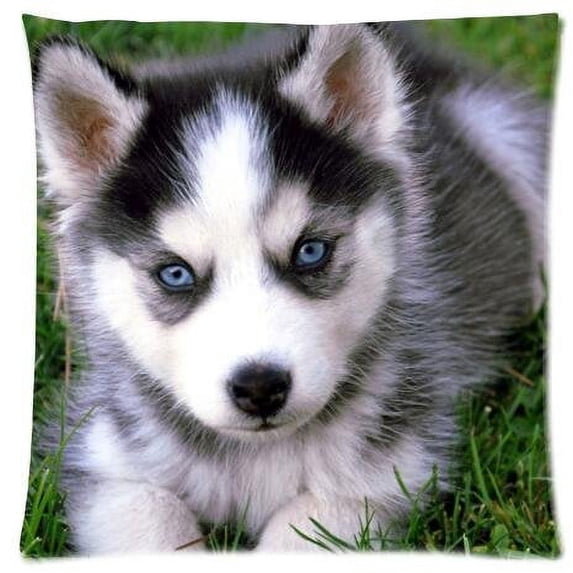 BPBOP Siberian Husky Dog Pillow Case Pillowcases Cushion Case Cover 18x18 inches