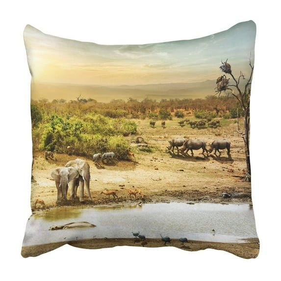 BPBOP South African wildlife animals together at sunset Pillowcase Throw Pillow Cover Case 18x18 inches