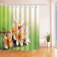 thumbnail image 1 of BPBOP Spa Spring Flowers on Green Leaves Polyester Fabric Bath Curtain, Bathroom Shower Curtain 66x72 inches, 1 of 1