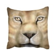 thumbnail image 1 of BPBOP Vintage Lion Face Africa African Animal Gallery Big Book Carnivore Pillowcase Cover 16x16 inch, 1 of 1