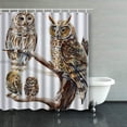 thumbnail image 1 of BPBOP Watercolor Hand Draw Realistic Owl Species Painting Shower Curtains Bathroom Curtain 66x72 Inch, 1 of 1