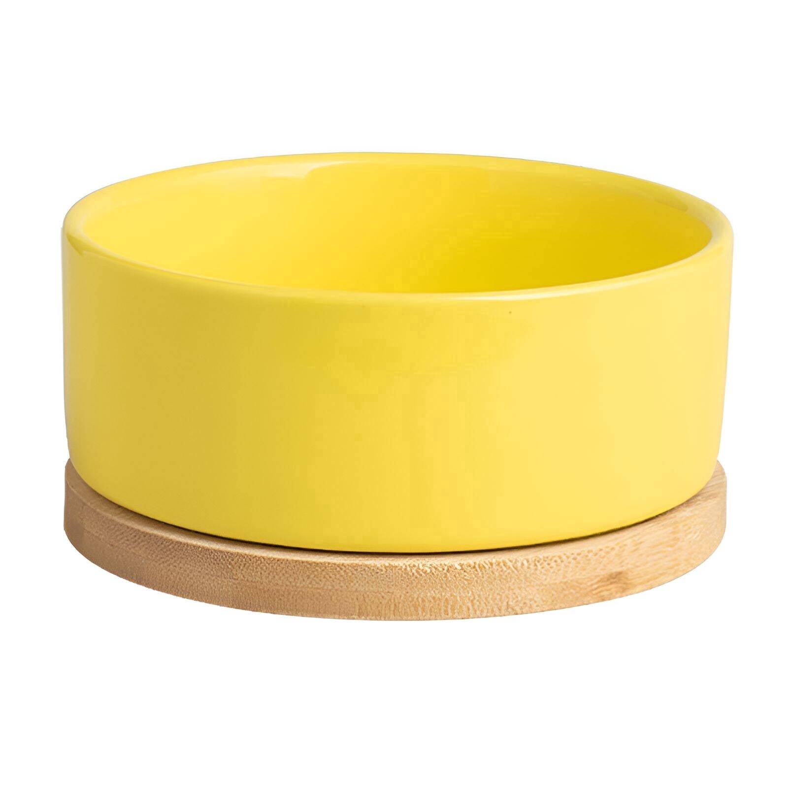 BPPEG 2026 New Heated Water Bowl,Temperature Control Design Slow Feeder Dog Bowls,Odor Prevention Dog Feeding Station,For Feeding,Winter Use,Pet Care,Home Use,Yellow