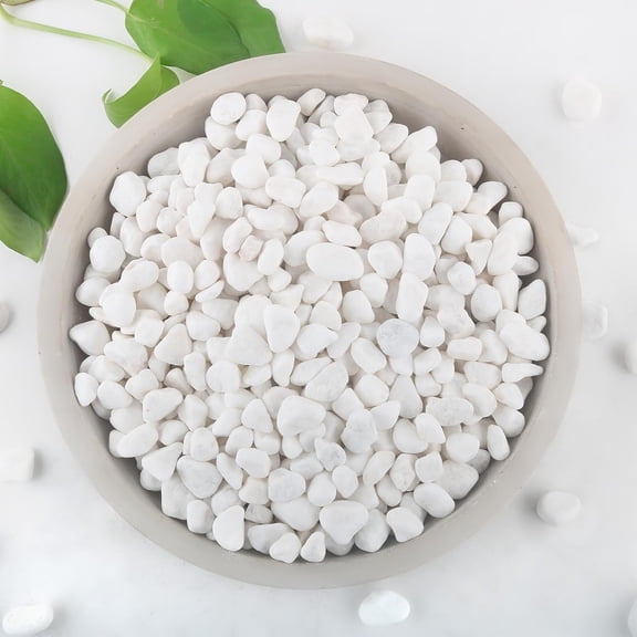 BPPEG 2Lb White Rocks for Plants, 1/4"-3/4" White Pebbles, Decorative Stones for Vases, Small Aquarium Gravel for Fish Tank Garden Rocks for Potted Plants & Home Decor