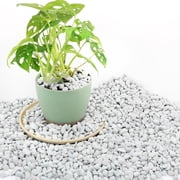 BPPEG 3 Quarts Chunky Perlite for Plant Soil Amendment for Potting Soil,Improves Drainage and Aeration for Soil,Ideal for Succulents,Orchid,Flower Plants 1/4"