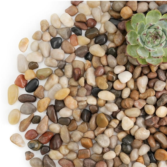 BPPEG 3Lb River Rocks for Plants Indoor,1/5" Pea Gravel for Fish Tank|Decorative Mixed Pebbles for Vase Fillers,Natural Polished Stones for Succulent,Bonsai,Landscaping,Bird Baths