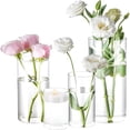 thumbnail image 1 of BPPEG 4 Pack Glass Cylinder Vases 4,6,8,10 Inch Tall Clear Flower Vase Hurricane Floating Candle Holder for Table Centerpiece Wedding Home Decor, 1 of 6