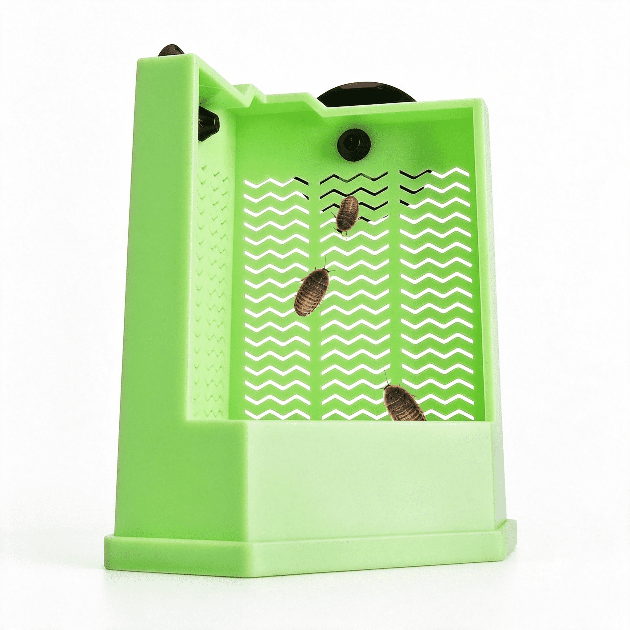 BPPEG Reptile Corner Hunting Bowl-Glass Mount Insect Feeding Box for ...