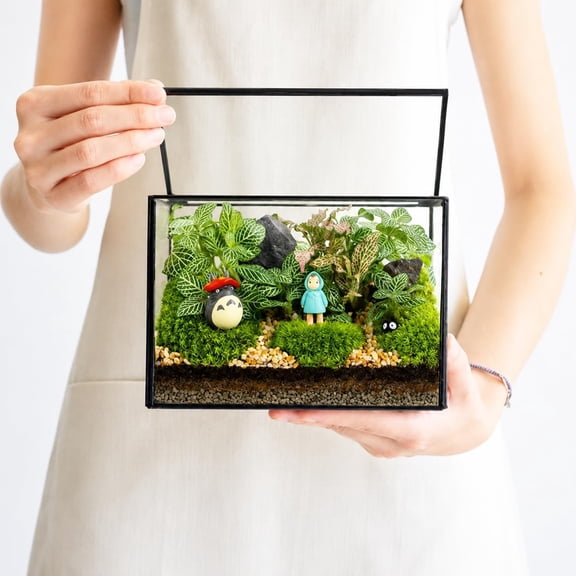 BPPEG Small Glass Terrarium with Lid,Rectangle Geometric Planter Box,Clear Glass Container for Succulents,Moss,Air Plants,Ferns,Cactus,Tabletop Plant Display Decor,6.7 X 3.9 X 4.7 in