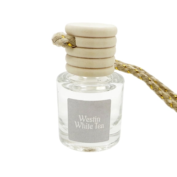 BQBQERT Hanging Volatile Oil Diffuser Long Lasting Air Freshener Car Interior Fragrances Hanging Diffuser Decors for Car
