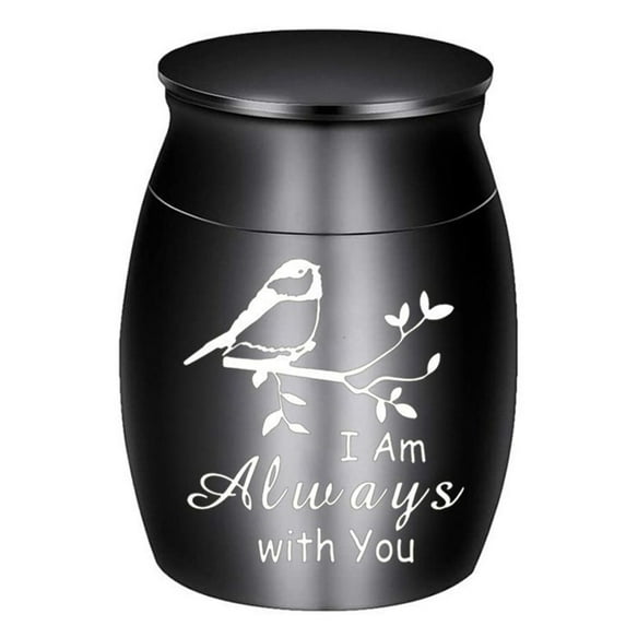 BQBQERT Memorial Casket Ashes Container Urn Cremation Sympathy Gift for Ashes/Hair