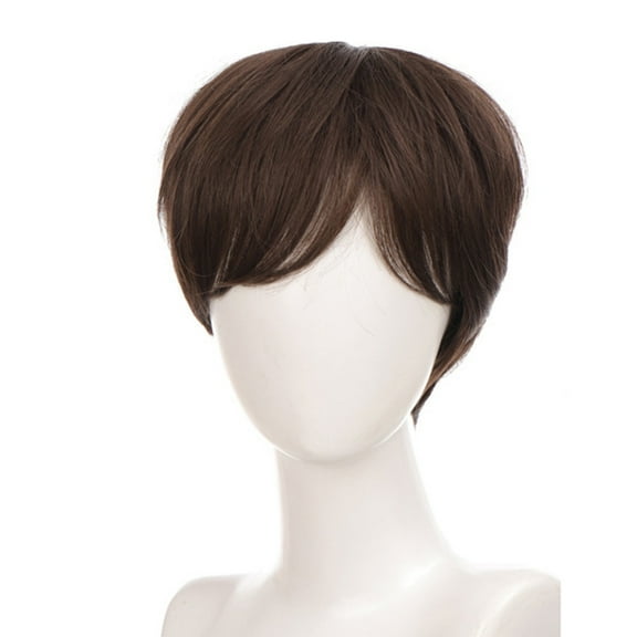 BQBQERT Natural Hairpiece Short Hair Wigs Full Head Toupee for Halloween Holiday Cool Hair Color for Cosplay Coser