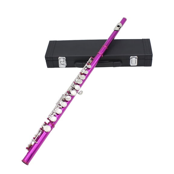 BQBQERT Professional Horizontal Flute With Bag Cloth Stick 16 Hole C Tone Closed Hole Flute Woodwind Instrument