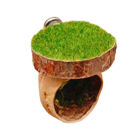 BQBQERT Wooden Pet Hideouts Shelter Cave with Design for Jumping Spiders and Reptiles Terrarium Landscape Accessory