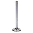 thumbnail image 1 of BR60130 1.600 in. Exhaust Valve, 1 of 1