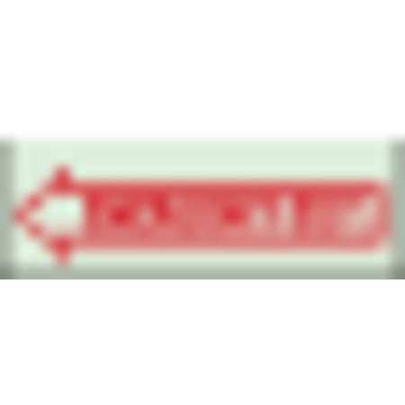 BRADY Fire Exit Sign,3-1/2" x 10",Plastic 80277