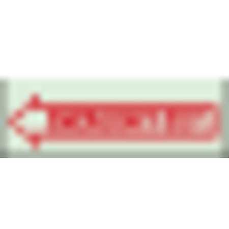 BRADY Fire Exit Sign,5" x 14",Polyester 80212