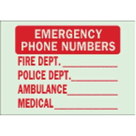 BRADY Fire Exit Sign,7" x 10",Polyester 80213