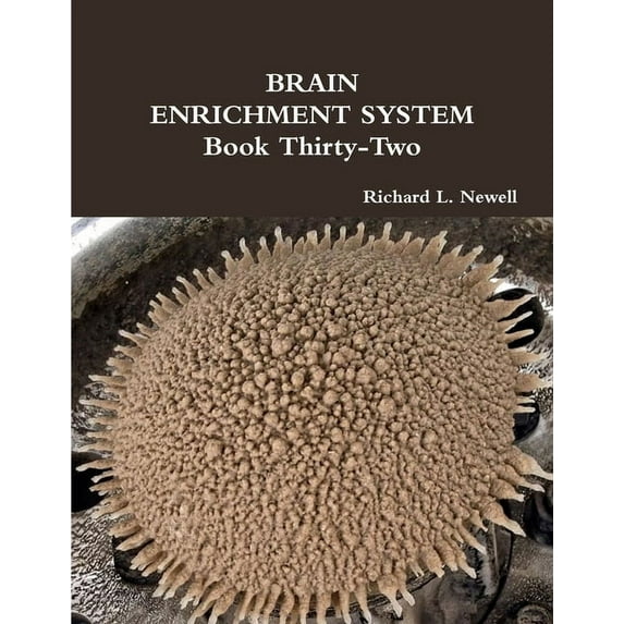 BRAIN ENRICHMENT SYSTEM Book Thirty-Two (Paperback)