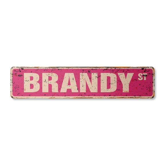 BRANDY Vintage Aluminum Street Sign Childrens Name Room Metal Sign rustic metal tin | Indoor/Outdoor |  18" Wide